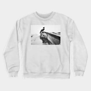 Guardian Crewneck Sweatshirt